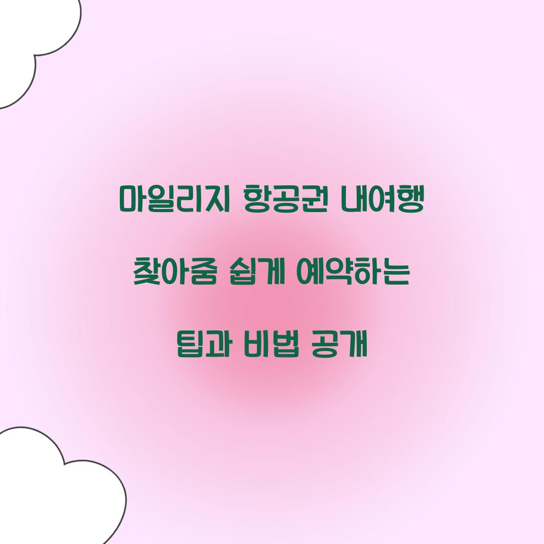 마일리지 항공권 내여행 찾아줌