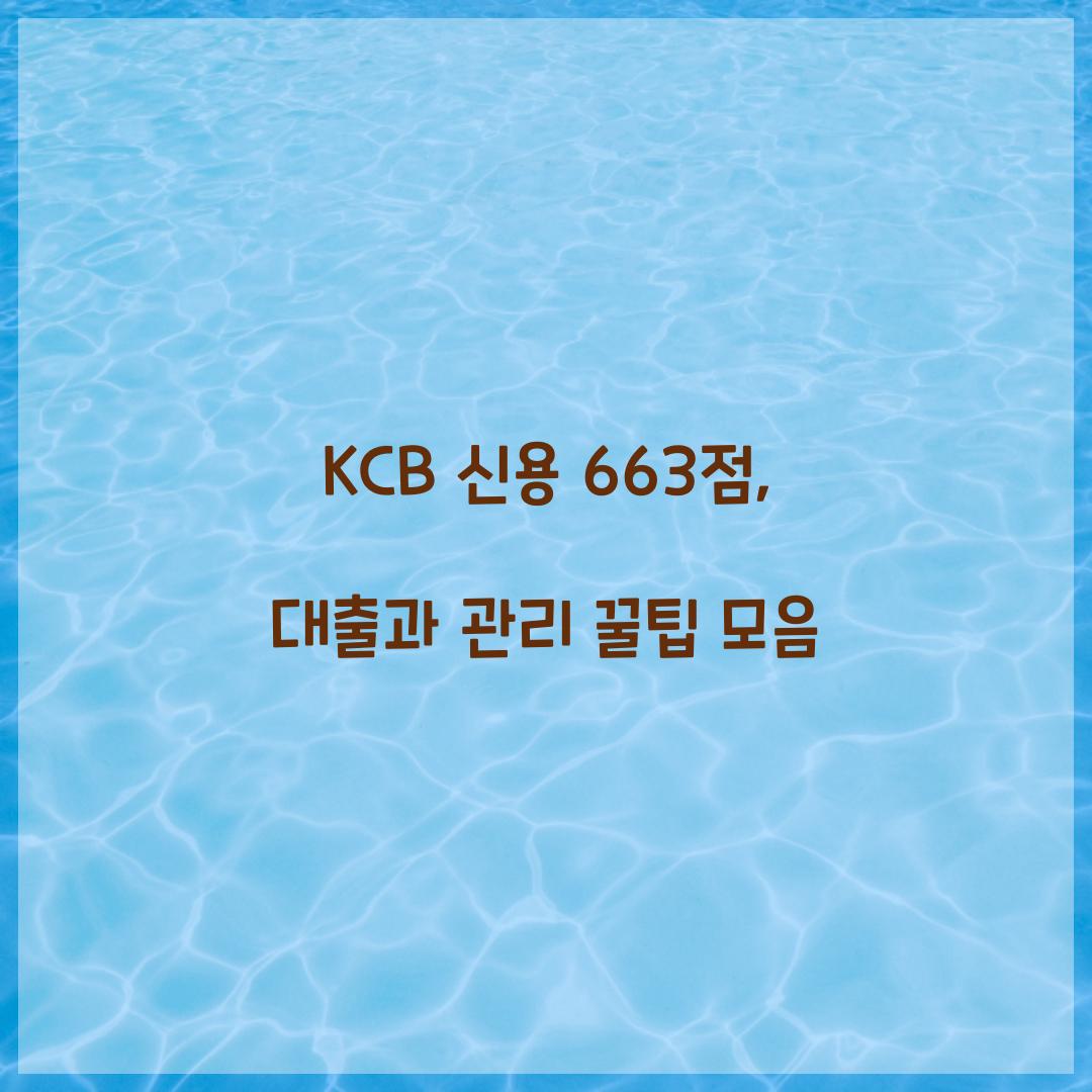 KCB 신용 663점