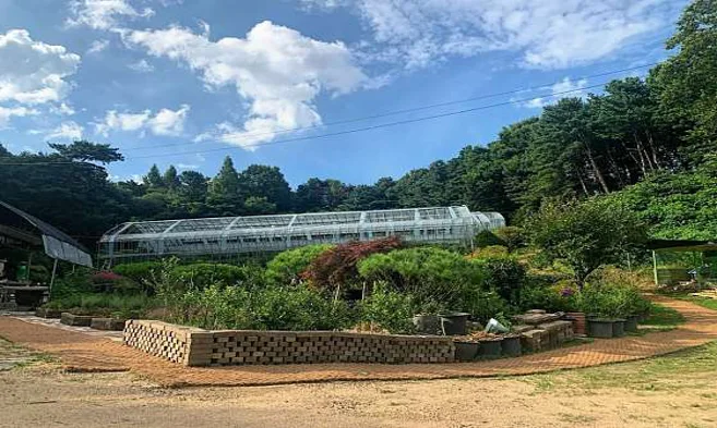 주연농장 & 주연블루베리농장