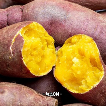 수능 아침에 좋은 음식