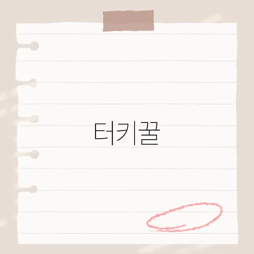 터키꿀, 달콤한 맛과 건강 효능을 지닌 터키의 전통 간식