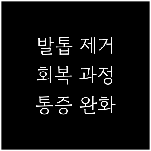 발톱 제거 후 관리법: 단계별 회복