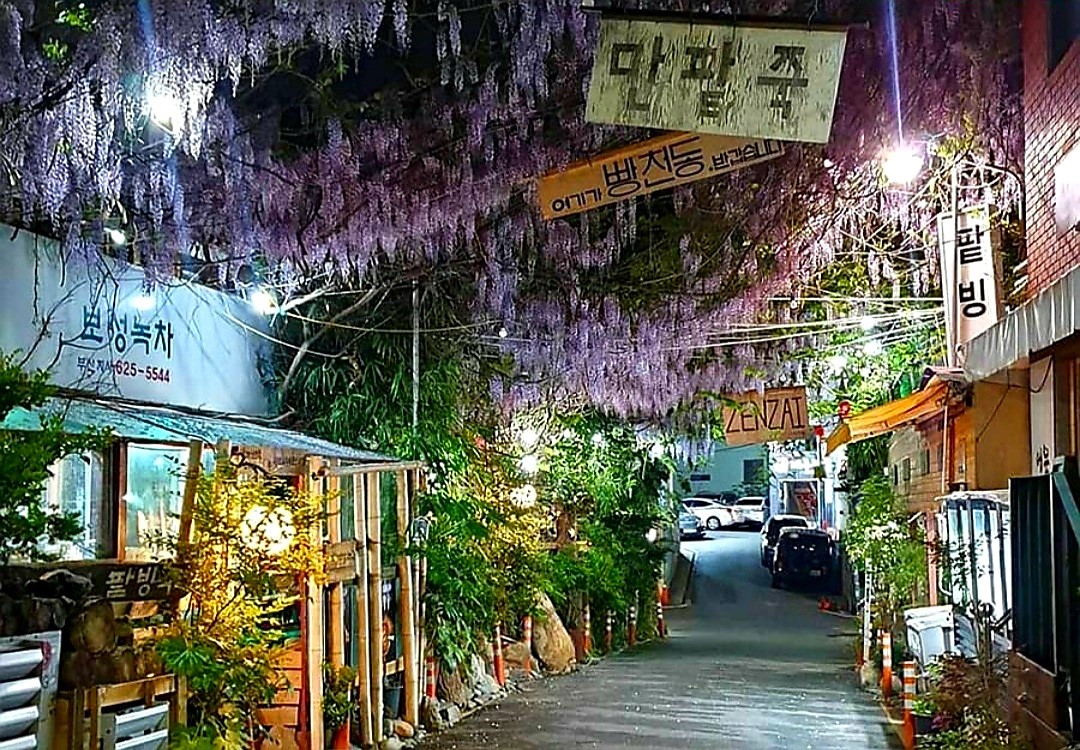 보성녹차 부산지사 등나무꽃