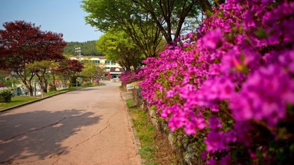 미리내 힐빙 클럽