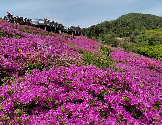 백양산