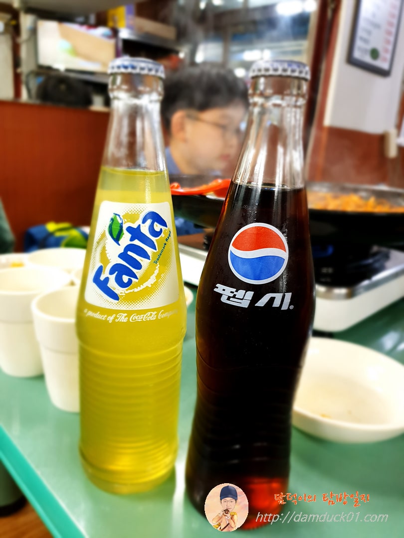 환타-펩시-탄산음료-병음료-담덕이의탐방일지