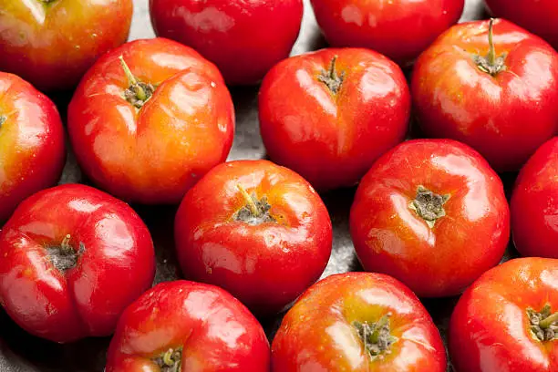 아세로라 여성청결제 왜 여성들 사이에서 인기일까? 아세로라 여성청결제 들어보셨나요? 이 과일이 여성의 청결을 돕는다니 굉장히 신기하죠? 이 아세로라 여성청결제가 무엇인지&#44; 어떤 효과가 있는지&#44; 어떻게 사용하는 것이 좋은지&#44; 아세로라 여성청결제 고르는 방법까지 함께 확인해보세요~