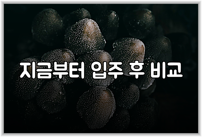 지금부터 입주 후 비교