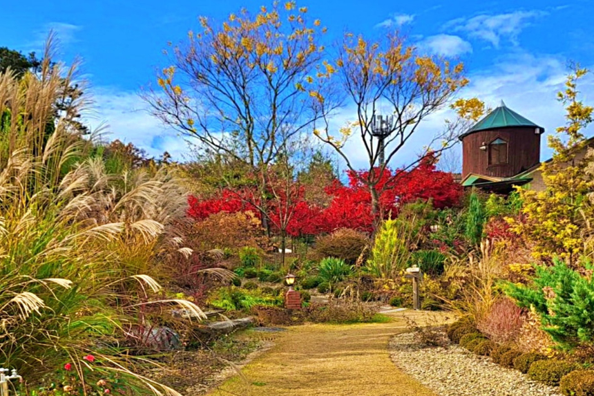특색 있고 아름다운 민간 정원 30선 추천 여행 - 20. 괴산트리하우스 가든