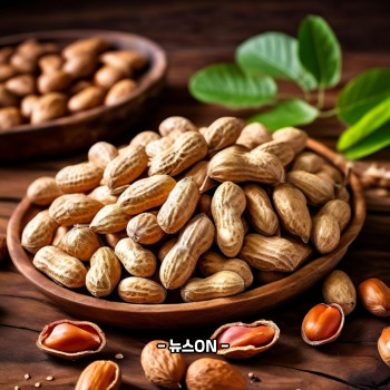 비타민B3가 많은 식품