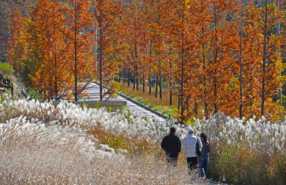 파주 율곡수목원 완벽 가이드: 무료로 즐기는 가족 친화적 힐링 명소