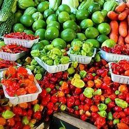 농산물 유통구조의 해법