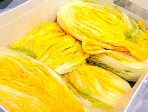 황금배추 &amp; 수박무 평택 &amp;#39;솔바위농원&amp;#39; 