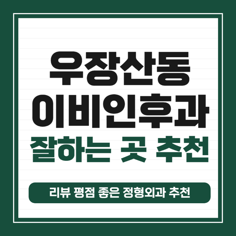 강서구 우장산동 이비인후과 귀지제거 감기 목 수액 독감 귀 진료 유명하고 잘하는 곳