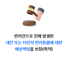 반려동물 보험 비교