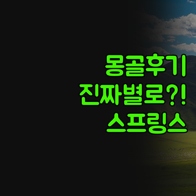 몽골 울란바토르 숙소 스프링스 밀레니..