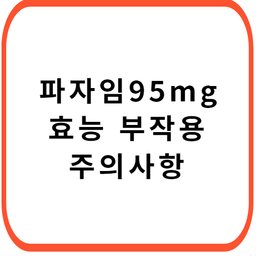 파자임-95mg-이중정-썸네일