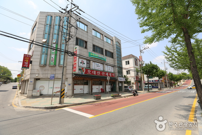 원주 용수골 꽃양귀비 축제
