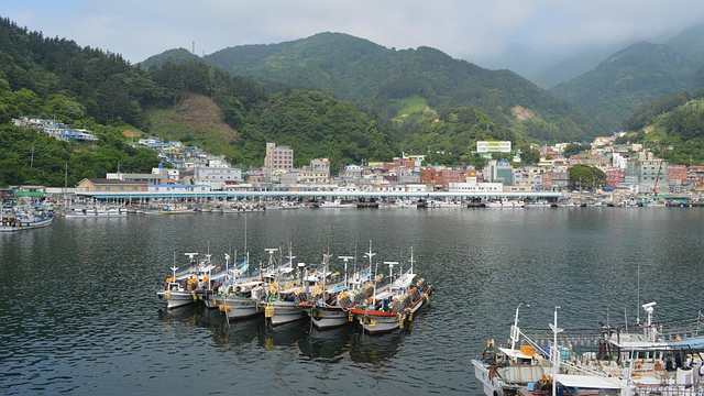 포항과 울릉도 여행