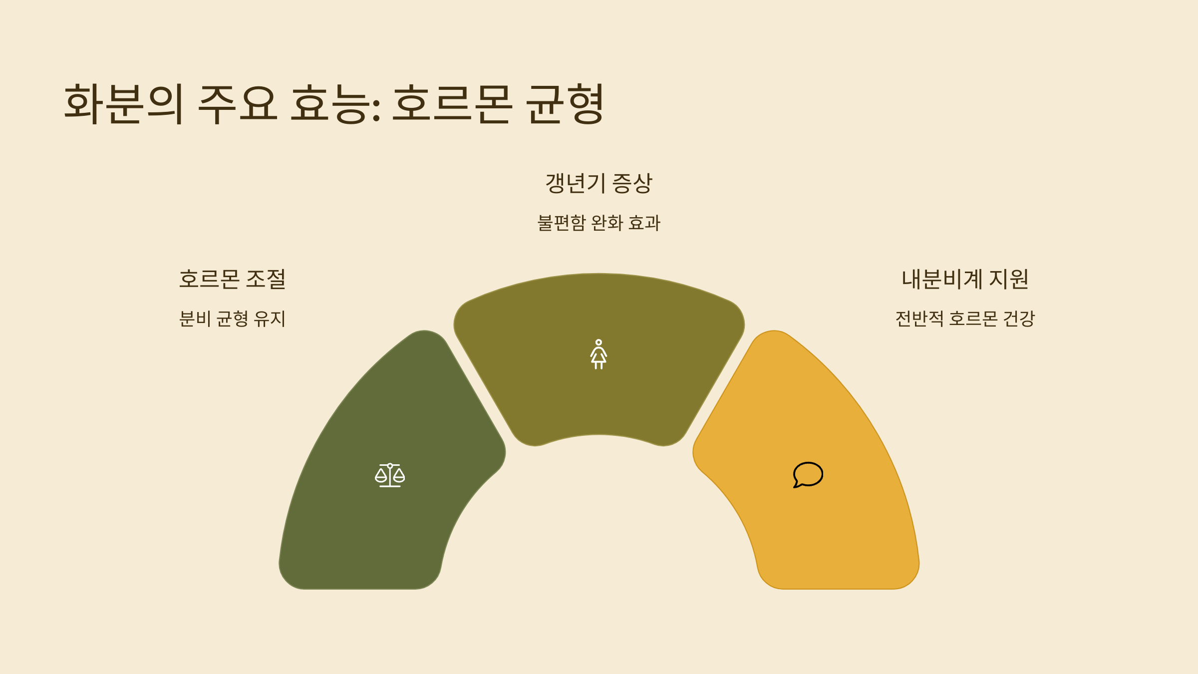 화분 사진입니다.