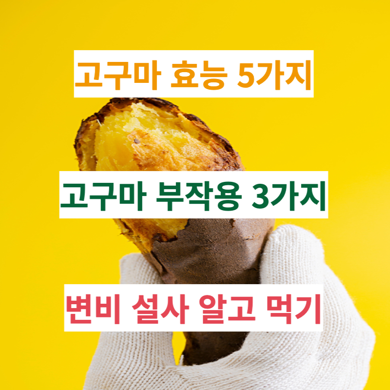 고구마 효능 5가지 부작용 변비 설사 알고 먹으면 효과 최고!