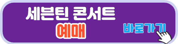 세븐틴 콘서트