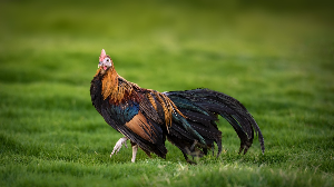 1월 7일 띠별 운세, 하루의 리듬을 점검하는 차분한 흐름