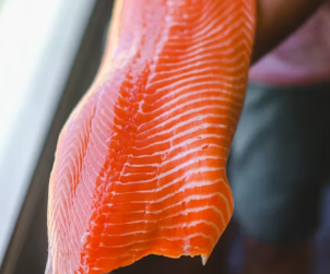 피로회복에 좋은 음식