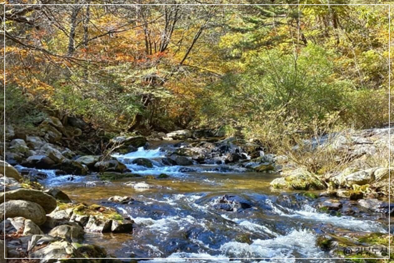 봉화 가볼만한곳 베스트10 백천계곡