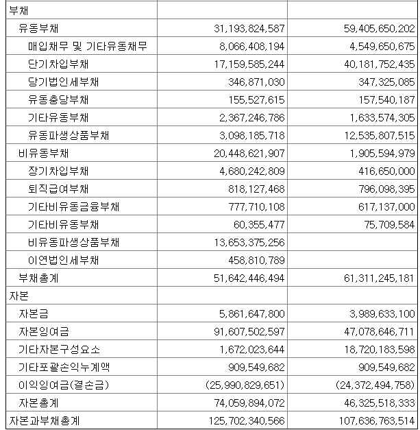 엔투텍재무상태표