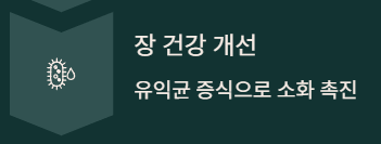  다이어트 차 3종 