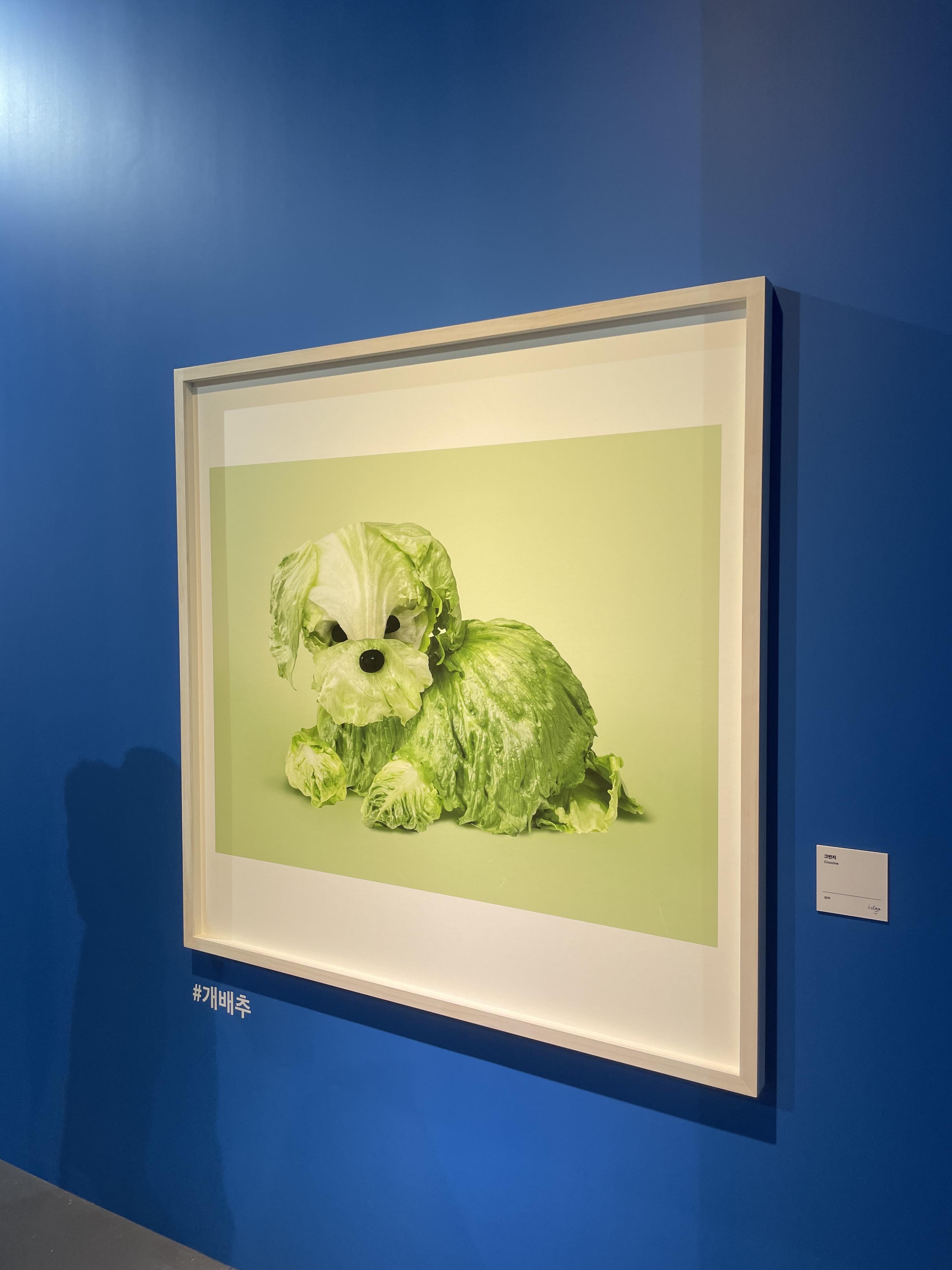 여수 아쿠아플라넷