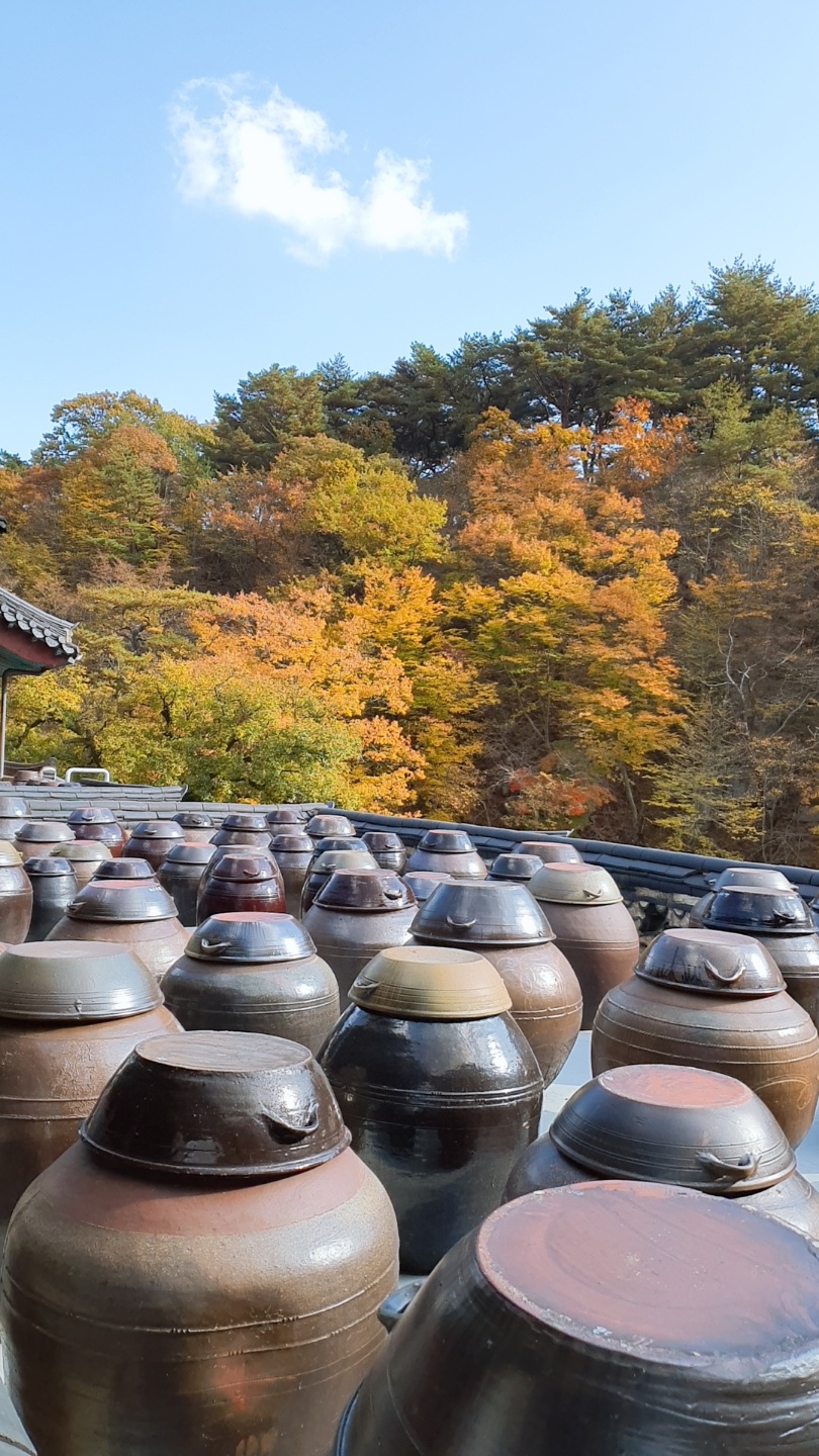양산 통도사