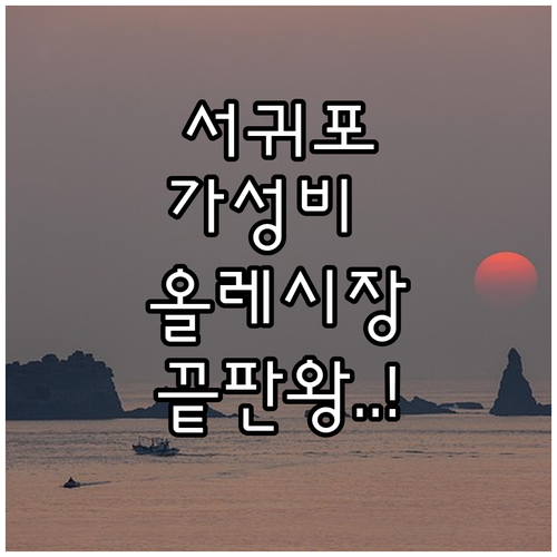 제주 서귀포 시내 가성비 호텔 비교 ..