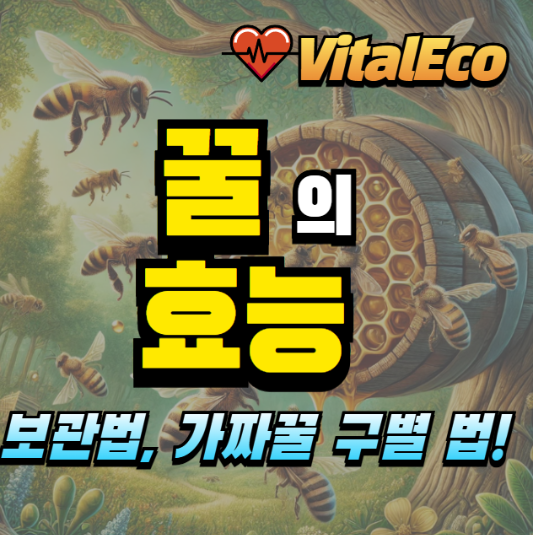 꿀의 효능 효과, 보관법 등 다양한 정보