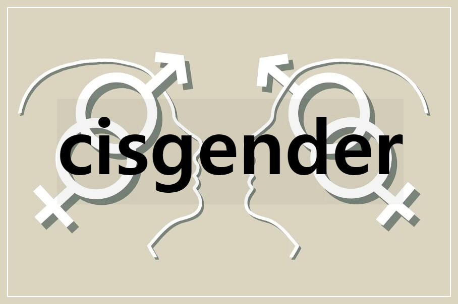 시스젠더