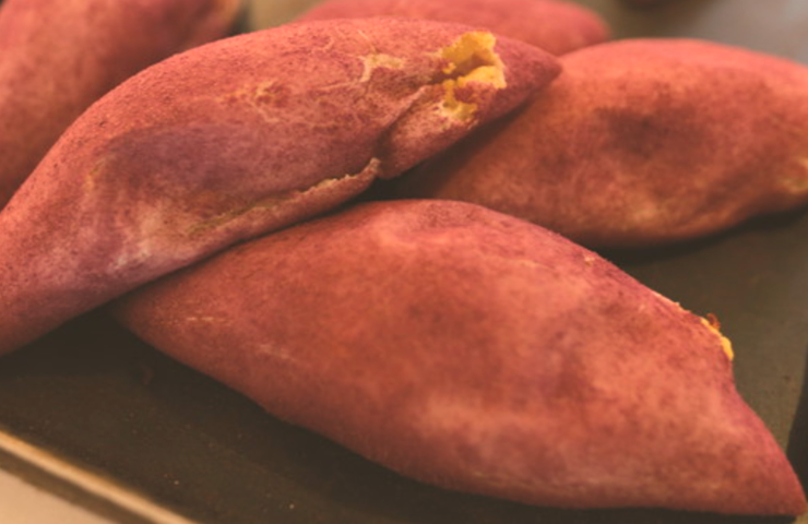 생활의달인-해남-고구마빵