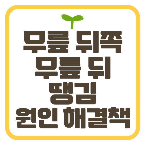 무릎 뒤쪽 무릎 뒤 땡김