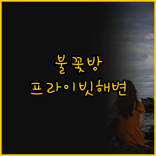 그랜드월드 불꽃놀이를 방에서? 프라이..