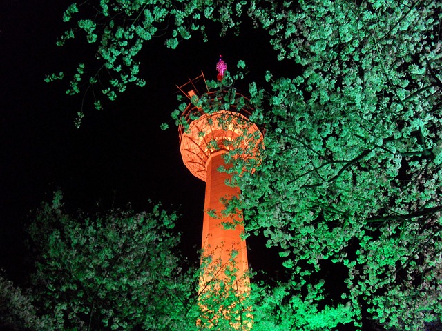 이월드 벚꽃축제 야경