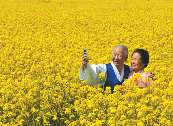 삼척 맹방 유채꽃축제
