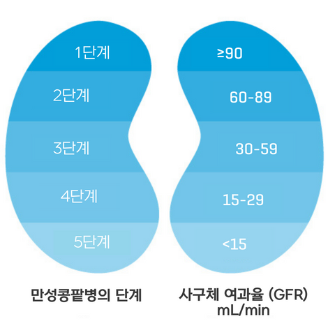사구체-여과율