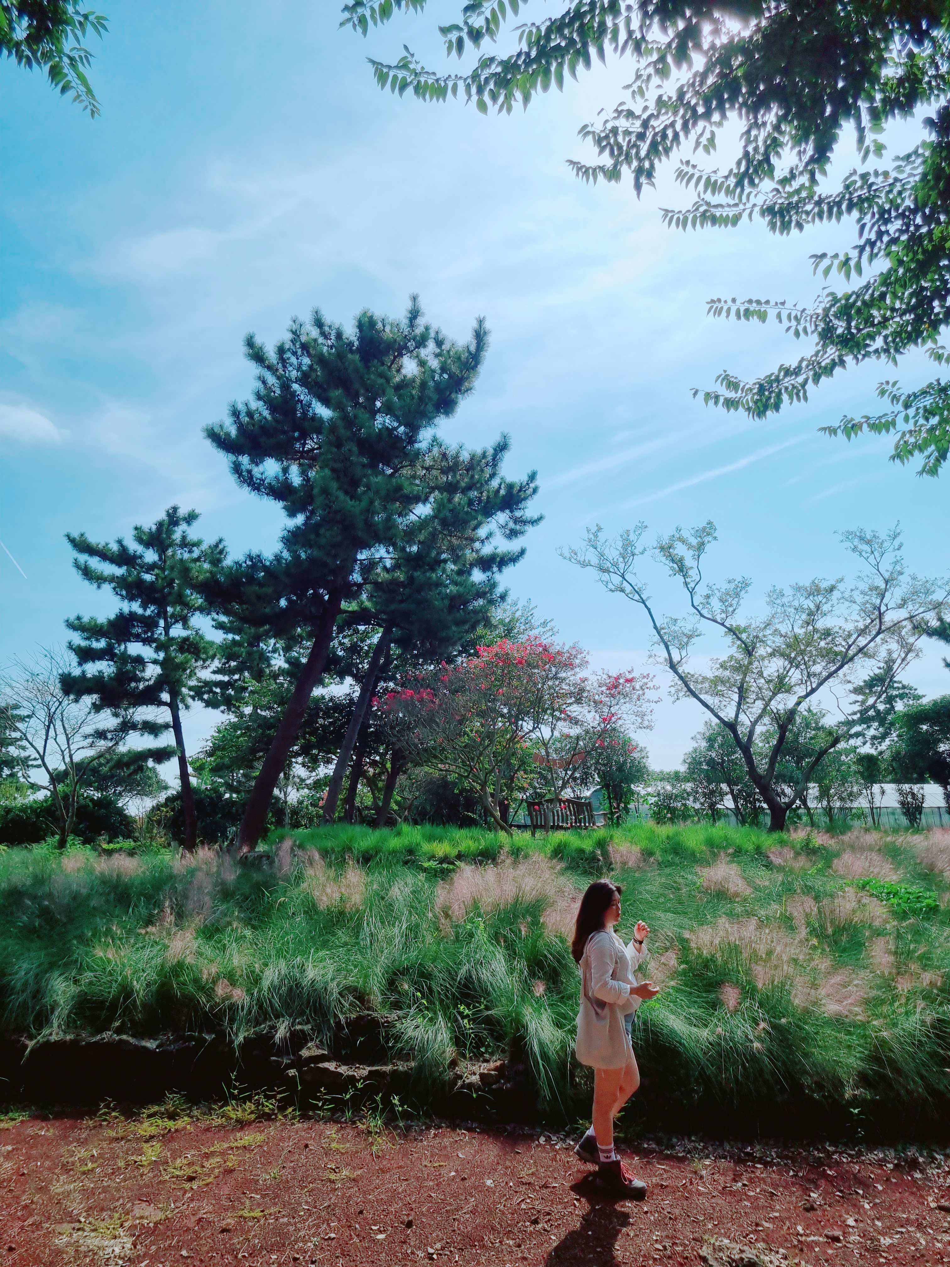 노리매공원