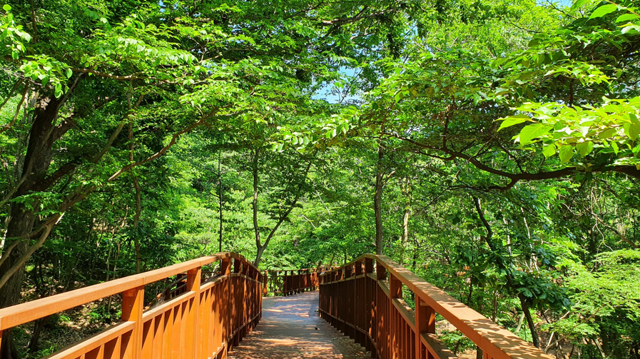 장성 축령산 치유숲길