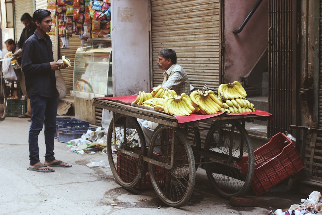 Basic Livelihood