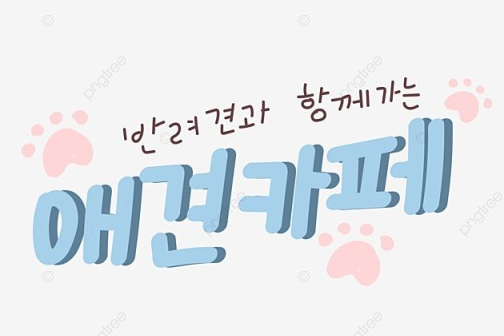 애견카페 관련 사진