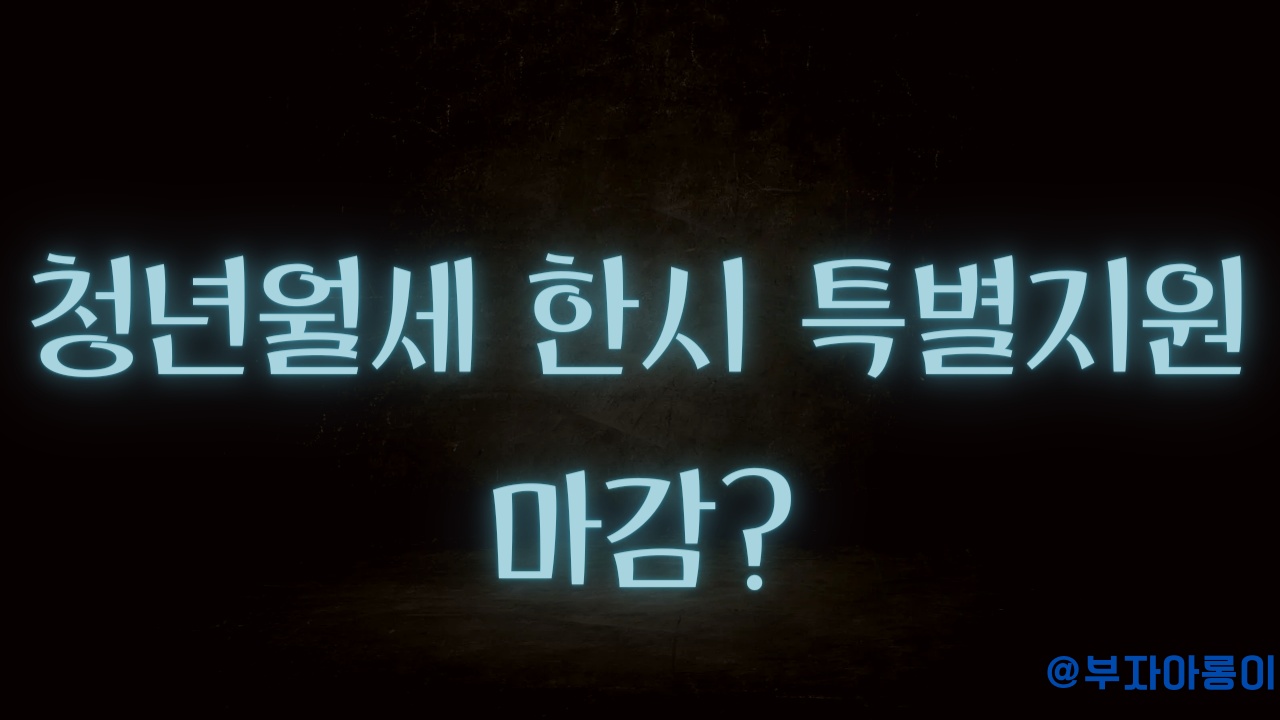 청년월세 한시 특별지원