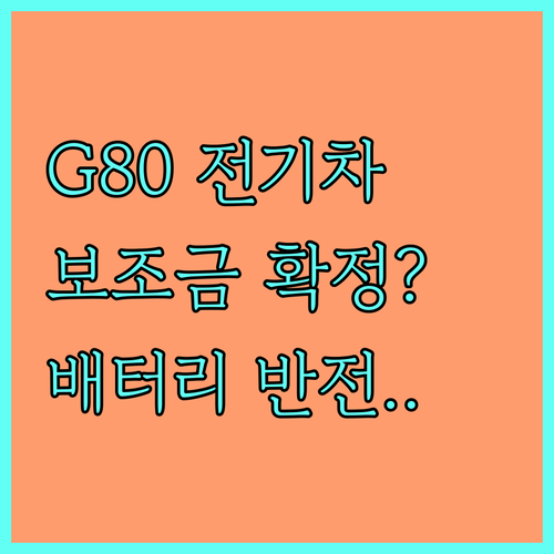 제네시스 G80 전기차 보조금 상한선..