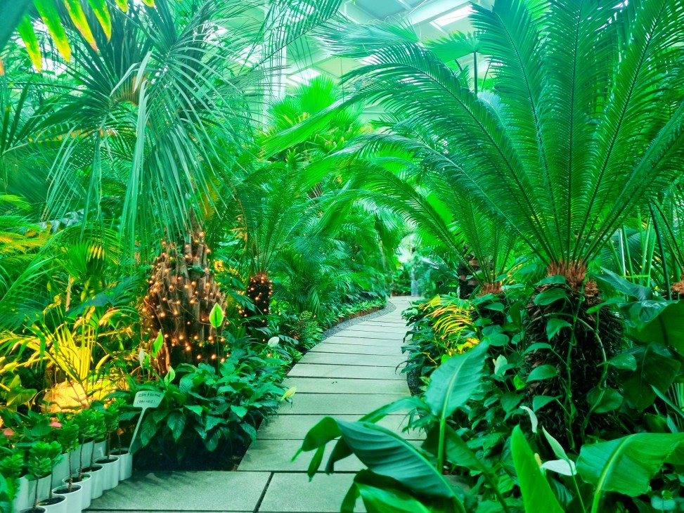 팔방미인 파주 문지리 535 카페 매력 포인트: 드넓은 논밭 뷰와 초록을 담은 실내 식물원