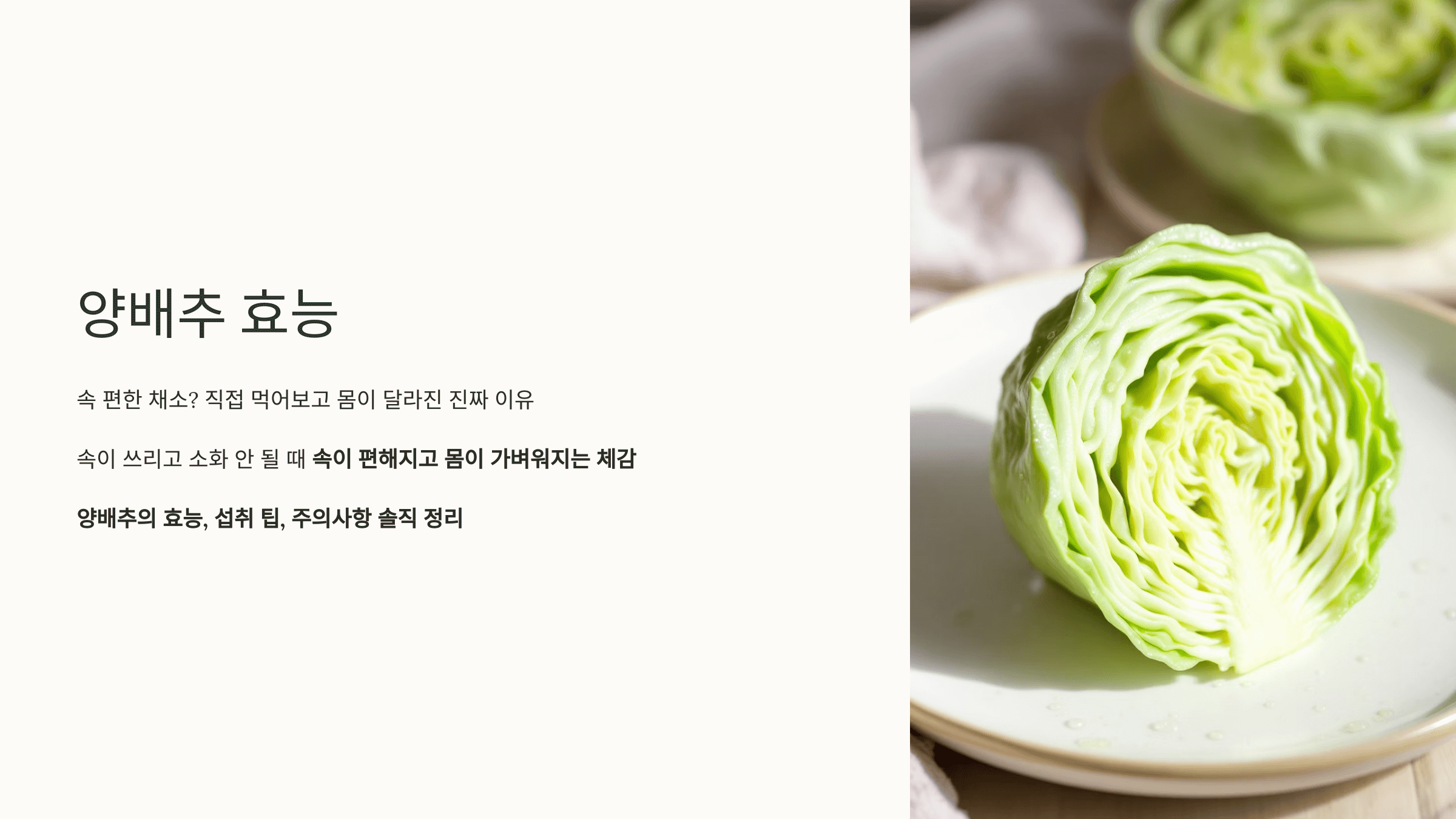 양배추 사진입니다.